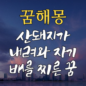 꿈해몽 태몽
