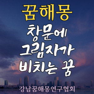 꿈해몽 그림자
