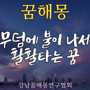 꿈해몽 무덤 불
