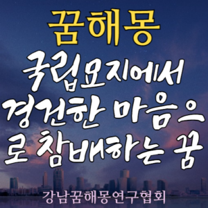 꿈해몽 국립묘지 참배
