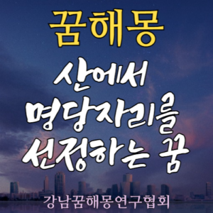 꿈해몽 산 명당자리
