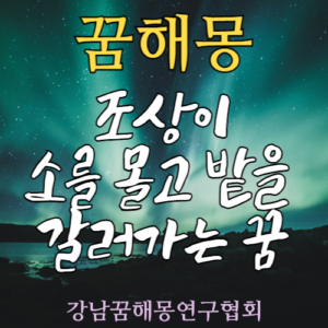 꿈해몽 조상 소 밭
