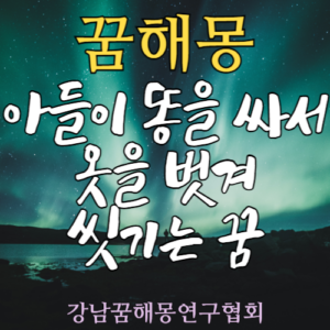 꿈해몽 아들 똥 