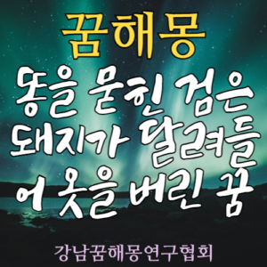 꿈해몽 검은 돼지 똥 