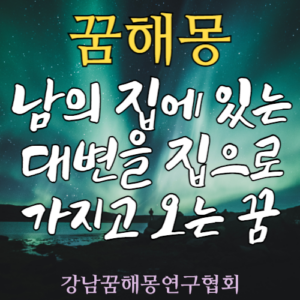 꿈해몽 남 대변
