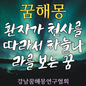 꿈해몽 환자 천사 하늘나라
