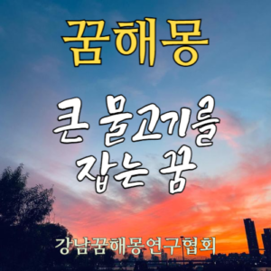 꿈해몽 큰 물고기
