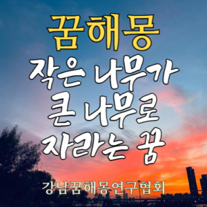 꿈해몽 작은나무 큰나무
