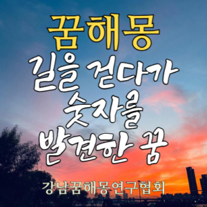 꿈해몽 길 숫자
