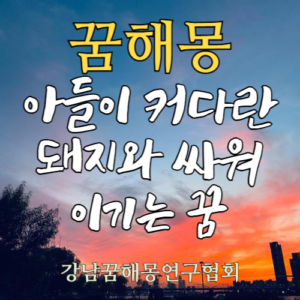 꿈해몽 아들 돼지 싸움