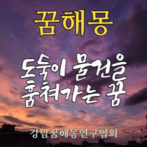 꿈해몽 도둑