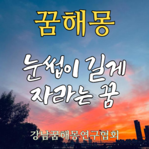 꿈해몽 긴 눈썹
