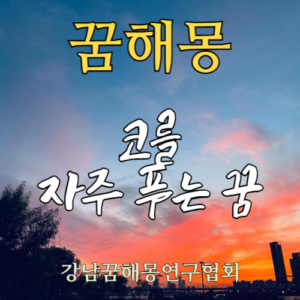 꿈해몽 코를 자주 푸는
