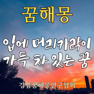 꿈해몽 입에 머리카락