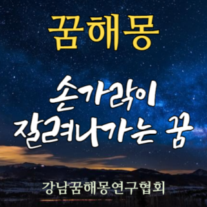 꿈해몽 손가락
