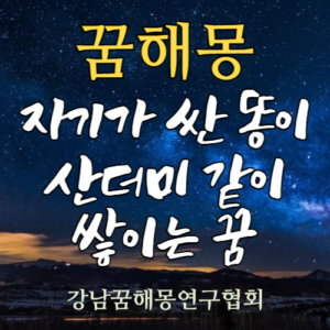 꿈해몽 산더미 똥

