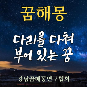 꿈해몽 다리
