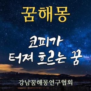 꿈해몽 코피
