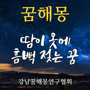 꿈해몽 땀에 젖는