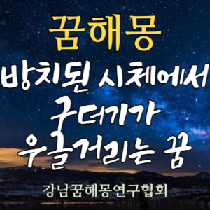 꿈해몽 시체 구더기
