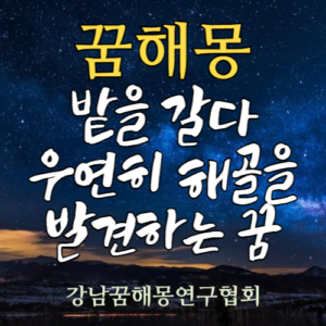 꿈해몽 밭 해골
