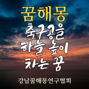 꿈해몽 축구공
