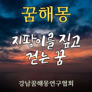 꿈해몽 지팡이 걷는