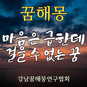 꿈해몽 급한데 걸을 수 없는