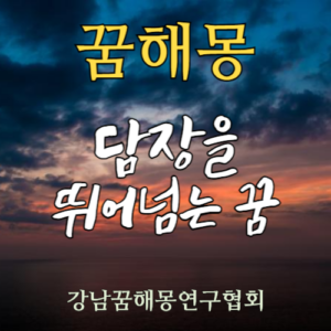 꿈해몽 담장 넘는