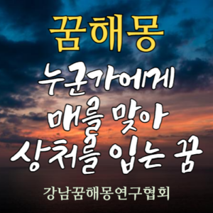 꿈해몽 매 상처