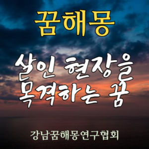 꿈해몽 살인 목격
