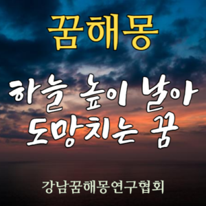 꿈해몽 하늘 높이 날아 도망치는 꿈