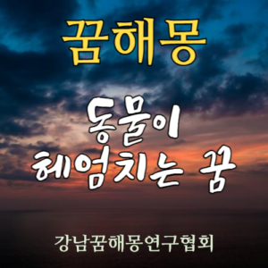 꿈해몽 동물이 헤엄치는 꿈