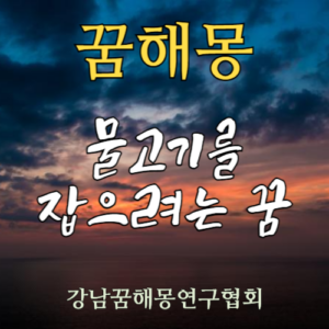 꿈해몽 물고기를 잡으려는 꿈